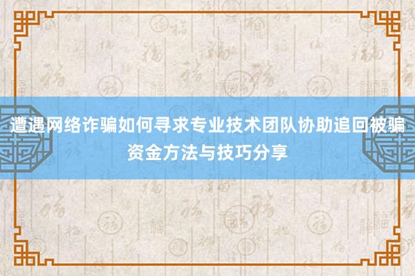 遭遇网络诈骗如何寻求专业技术团队协助追回被骗资金方法与技巧分享