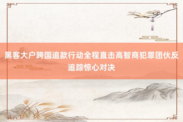 黑客大户跨国追款行动全程直击高智商犯罪团伙反追踪惊心对决