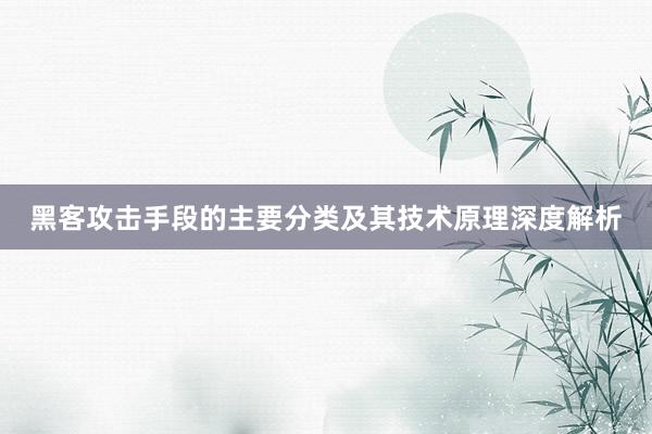 黑客攻击手段的主要分类及其技术原理深度解析